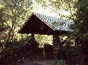 1585  PERUCATTI  2006.JPG